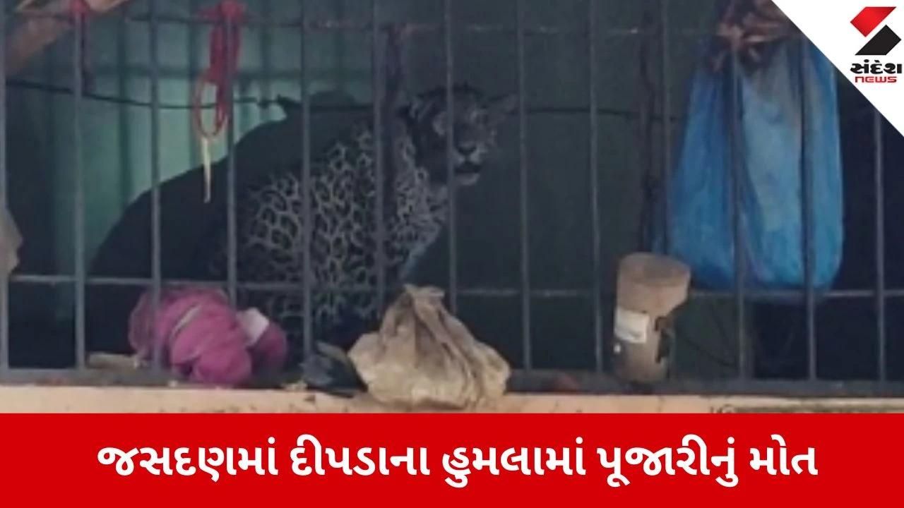 Jasdan: દીપડાના હુમલામાં ગંભીર રીતે ઘવાયેલા પૂજારીએ રાજકોટ સિવિલમાં અંતિમ શ્વાસ લીધા 