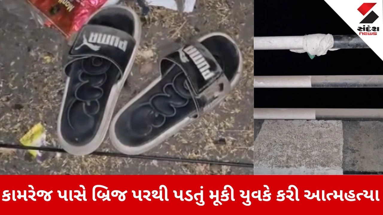 Surat News: કામરેજમાં આંબોલી બ્રિજ પરથી અજાણ્યા યુવકે કરી આત્મહત્યા 