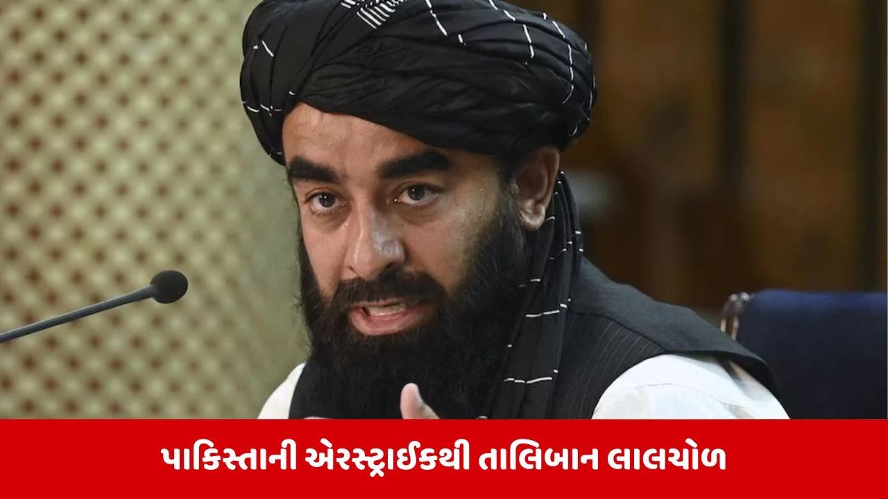 19 લોકોના મોત બાદ અફઘાનિસ્તાનની Pakistanને ચેતવણી, એરસ્ટ્રાઇકનો બદલો જરૂર લેશે.