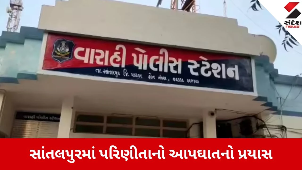 સાંતલપુરમાં સાસરિયાના ત્રાસથી કંટાળી પરિણીતાનો આપઘાતનો પ્રયાસ, પતિ સહિત 6 લોકો સામે પોલીસ ફરિયાદ દાખલ થઈ.