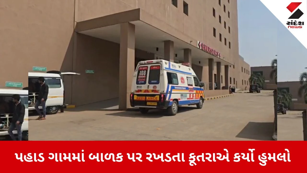Dahod News: પહાડ ગામે રખડતા કૂતરાનો આતંક, 5 વર્ષીય બાળક ઘાયલ 