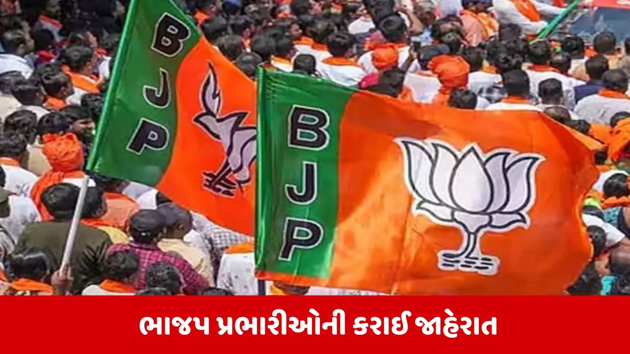 Ahmedabad : શહેર ભાજપ પ્રભારીઓની કરાઈ જાહેરાત, જાણો કોને કોને મળ્યું સ્થાન