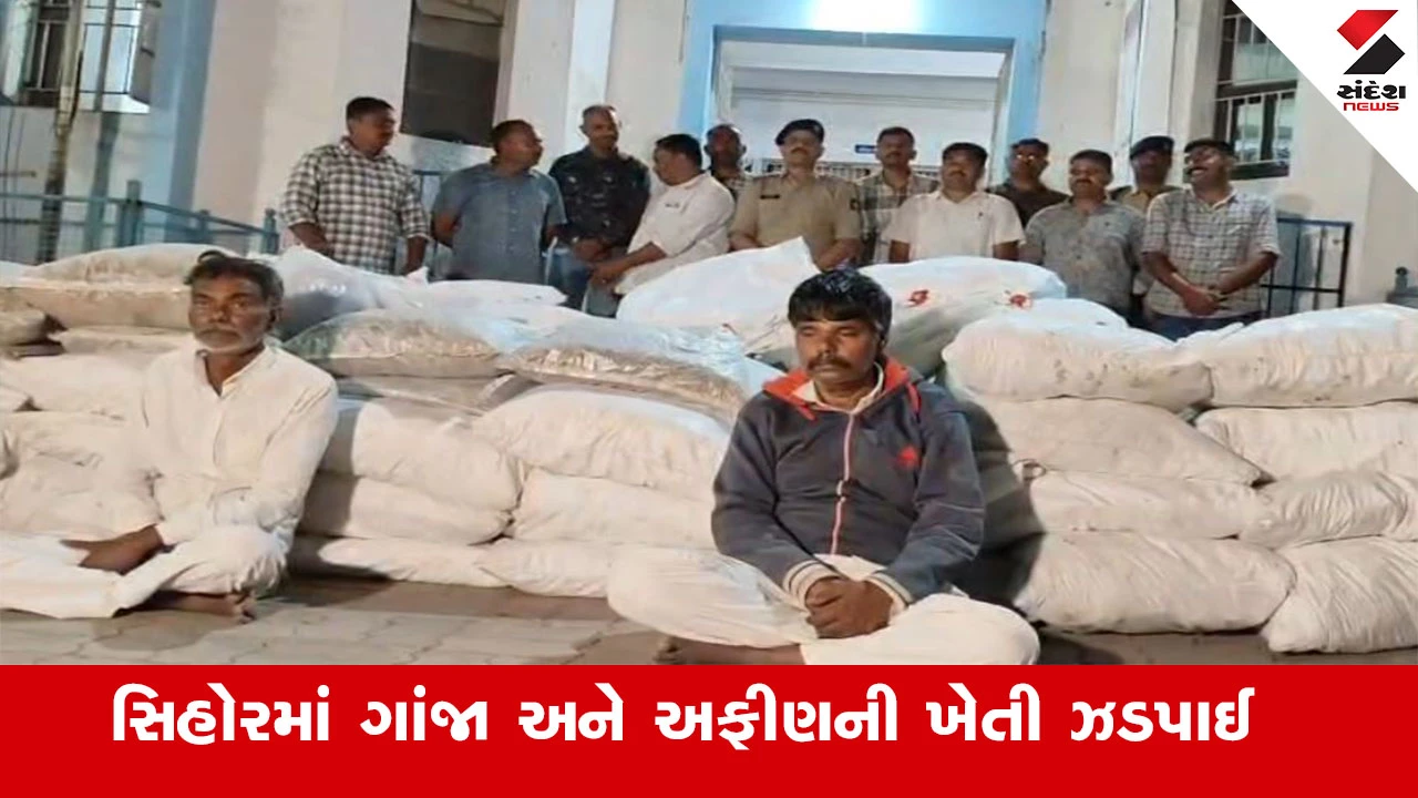 Bhavnagar News : સિહોરમાં ગાંજા અને અફીણની ખેતી ઝડપાઈ, ભાવનગર જિલ્લાના ઇતિહાસમાં સૌથી મોટી પોલીસની રેડ 