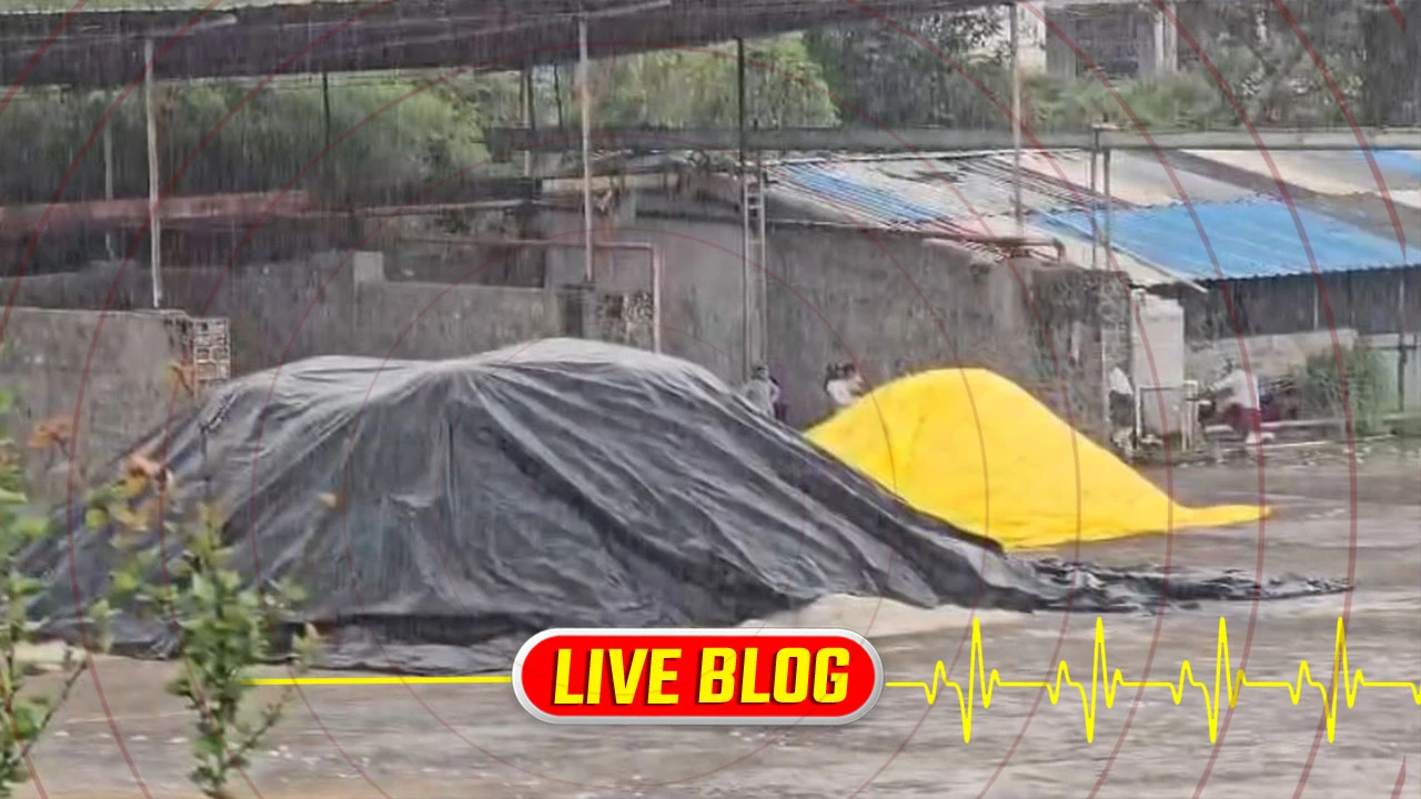 Gujarat Latest News Live : છોટાઉદેપુરના નસવાડીમાં કમોસમી વરસાદ ખાબકતા ખેડૂતો ચિંતામાં 