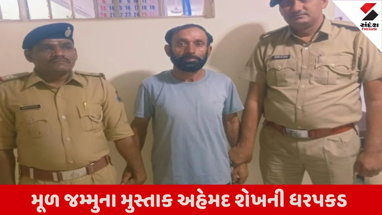 વડોદરા: અનગઢ પાસે રેલવે ટ્રેક પર શંકાસ્પદ વિસ્ફોટક મળતા પોલીસ ચોંકી; એક્સટેંશન માટે રેલવેકર્મીએ જ આ કૃત્ય કર્યું.