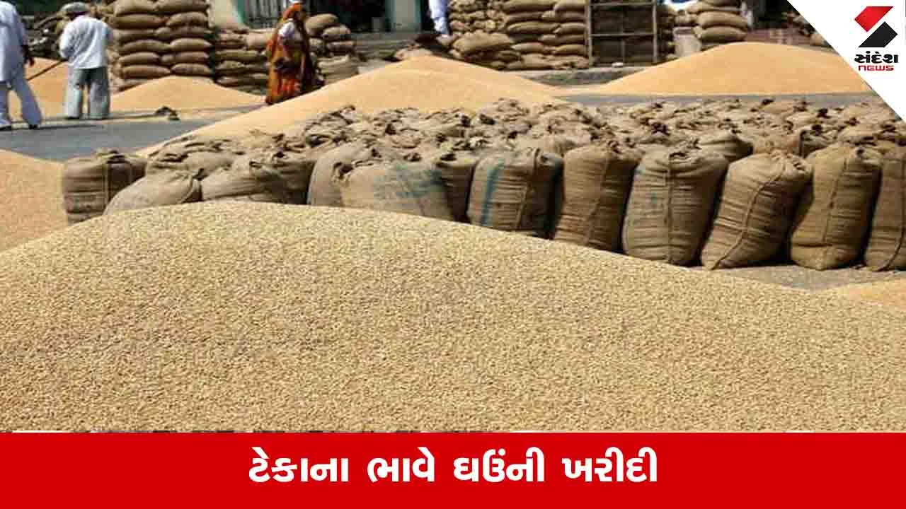 Agriculture News: બોટાદમાં રવિ માર્કેટિંગ સીઝન માટે લઘુતમ ટેકાના ભાવે ઘઉંની ખરીદી શરૂ થશે 