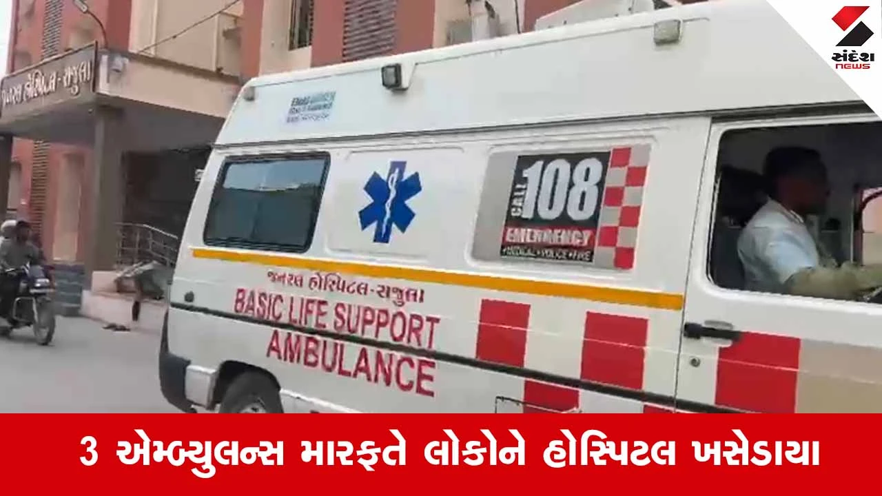 Amreli News: જાફરાબાદના ભટવદર ગામમાં મધમાખીઓએ મચાવ્યો આતંક, 10 લોકો બન્યા ભોગ 
