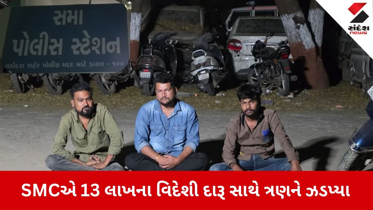 Vadodara News: મકાનમાં ગુપ્ત ભોંયરું બનાવી સંતાડેલો 13 લાખનો દારૂ ઝડપાયો, 3 આરોપીની ધરપકડ 