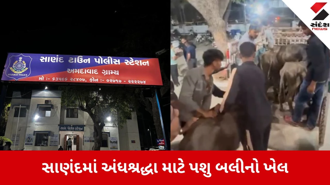 Sanand: જીવદયા પ્રેમીઓએ 6 અબોલ જીવોને મોતના મુખમાંથી છોડાવ્યા, બલી ચઢાવનાર શખ્સો સામે સાણંદ પોલીસની લાલ આંખ