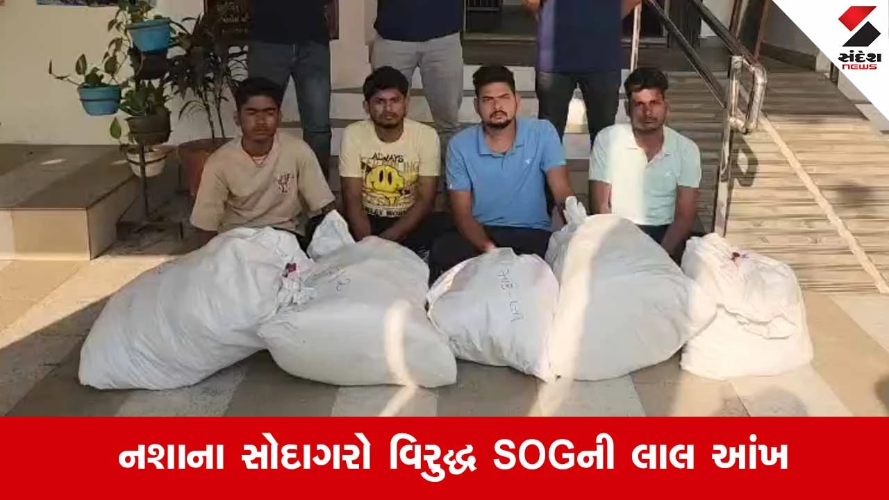Surat News: ઓલપાડના કારેલીમાં SOGએ દરોડો પાડી રૂ.27 લાખનો ગાંજો ઝડપ્યો