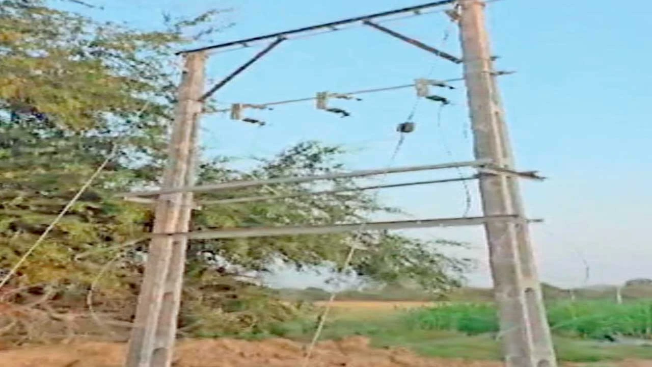 બદરખા ગામમાં ખેતરમાં ગેરકાયદે વીજ પોલી ઊભો કરી પાકને નુકસાન કરાયું 