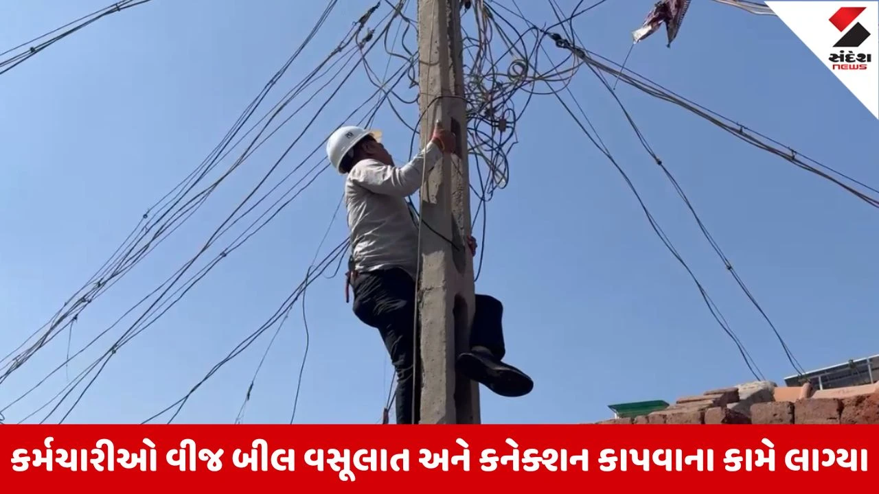 Rajkot સહિત સૌરાષ્ટ્રના 11 જિલ્લામાં પીજીવીસીએલનું મેગા ઓપરેશન, ઘેર ઘેર પહોંચી ટીમો, કડક ચેકિંગ