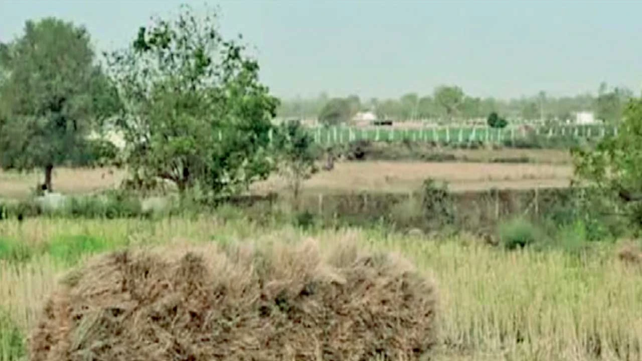Vav-tharad: જિલ્લાના હવામાનમાં આકસ્મિક પલટો, ખેડૂતોમાં ચિંતા
