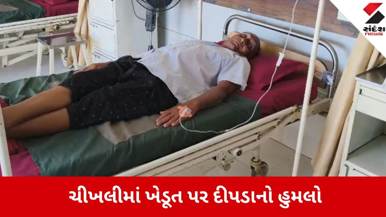 Navsari: ચીખલીના ખાંભડામાં દીપડાનો આતંક, ખેતરમાં કામ કરતા ખેડૂત પર જીવલેણ હુમલો 