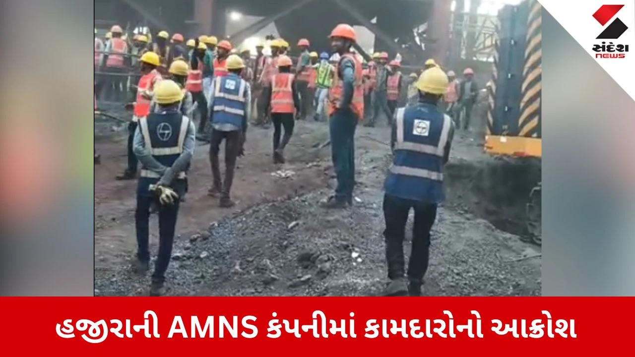 Surat News: હજીરામાં AMNS કંપનીના કામદારોની હડતાળ, જાણો શું છે મજૂરોની માગ? 