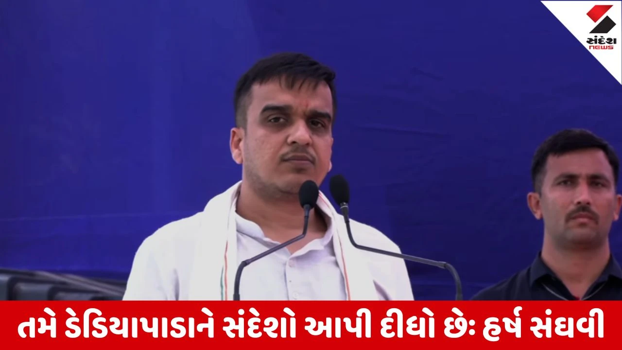 Narmada : ડેડિયાપાડામાં DyCM હર્ષ સંઘવીની સભા, મનસુખભાઈ તો આખી પીચે બેટિંગ કરે છે, અડધી પીચે બેટિંગ કરશે તો ગ્રાઉન્ડની બહાર બોલ જશે 