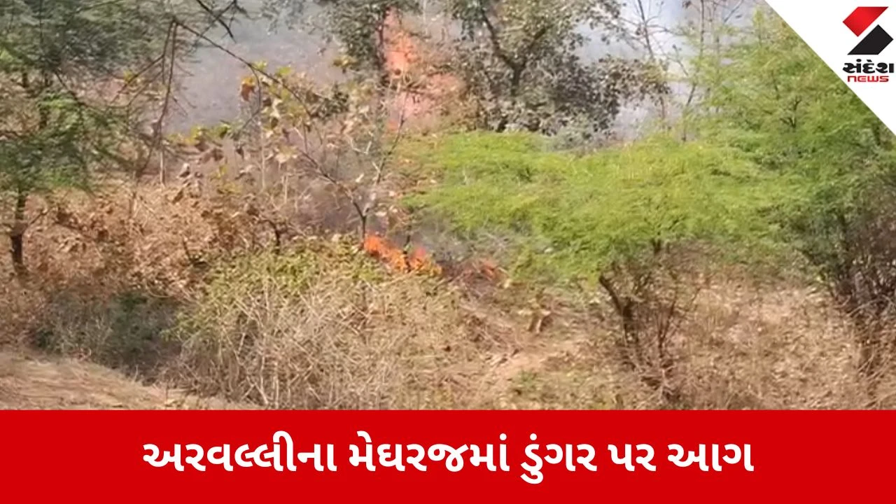 Aravalli: મેઘરજના ડુંગરાળ વિસ્તારમાં ભીષણ આગ, વન વિભાગની ટીમની ભારે જહેમત બાદ કાબૂ 