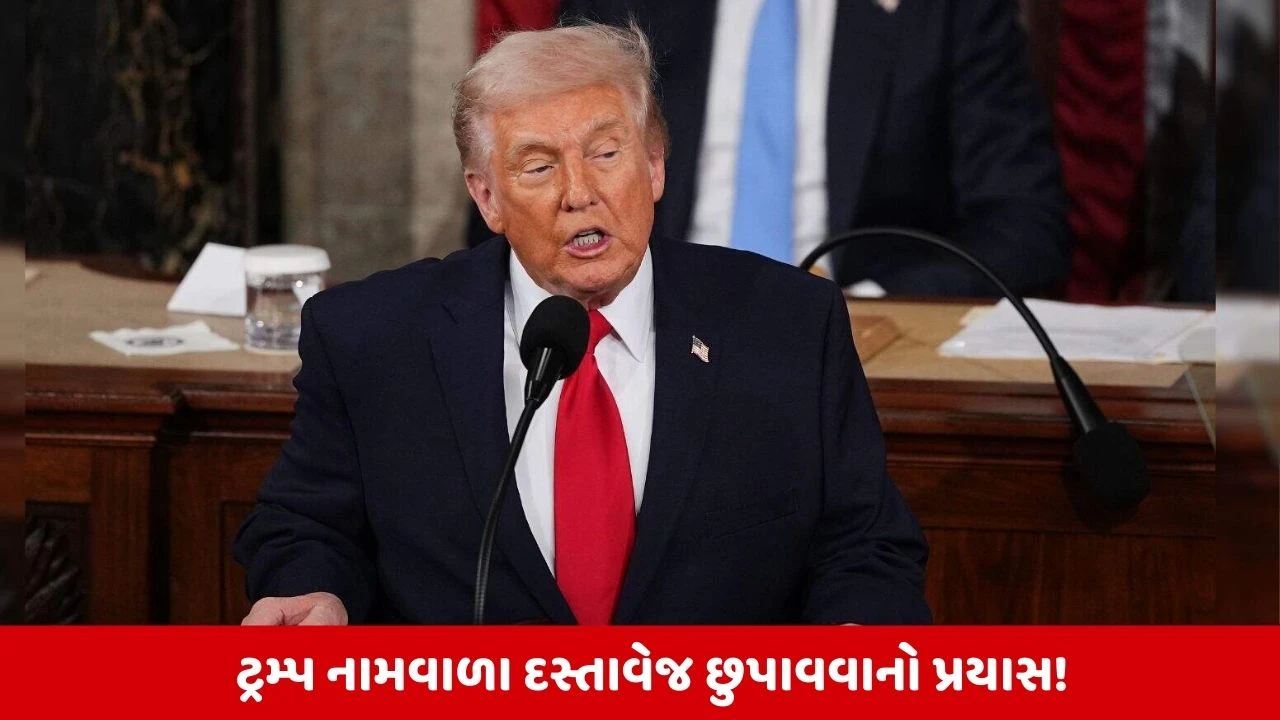 Epstein Files પર મોટો ઘટસ્ફોટ: ડોનાલ્ડ ટ્રમ્પ સામેના પુરાવાની તપાસ તેજ થઈ. શું આ કેસમાં નવો વળાંક આવશે?