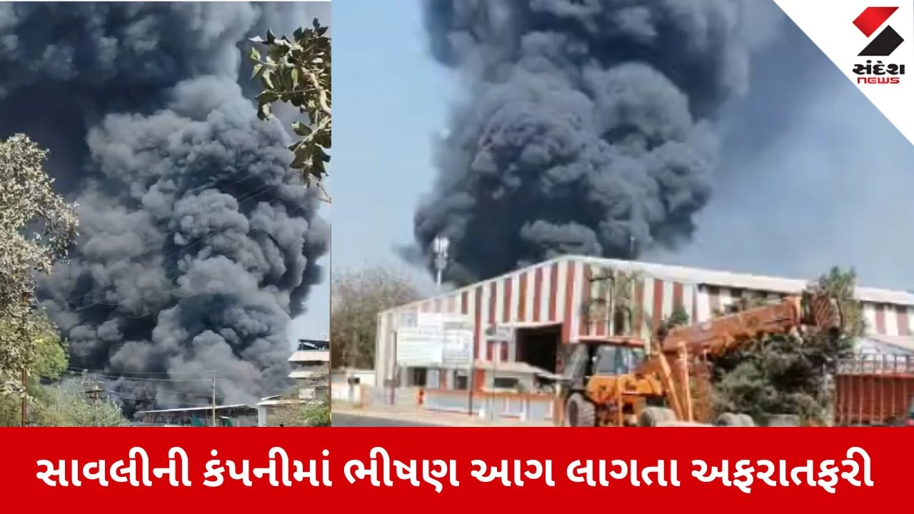 Vadodara News: સાવલીમાં મંજૂસર ચોકડી પાસે કંપનીમાં ભીષણ આગ
