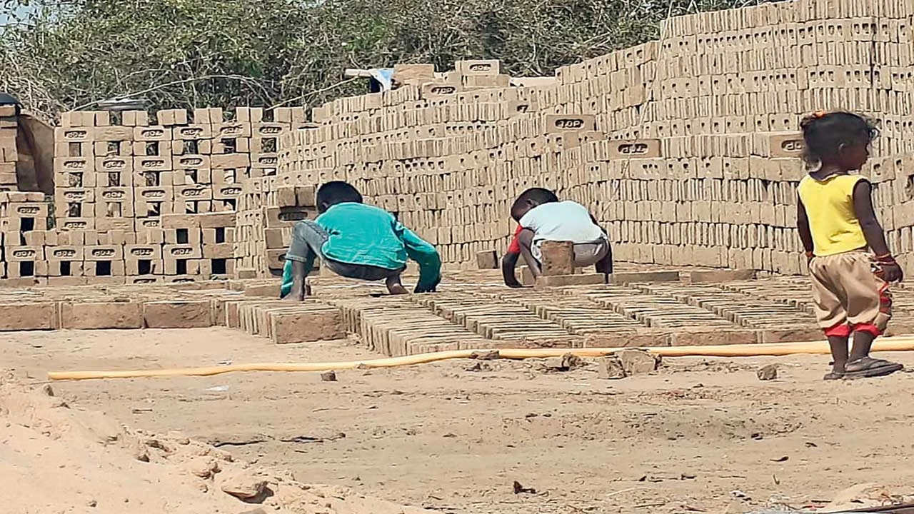 Patan: હારીજના ઈંટોના ભઠ્ઠા પર ફૂલ જેવા બાળકો પાસે કરાવાતી મજૂરી 
