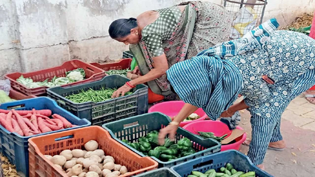 Mahesana: ખેડૂત તાલીમ કેન્દ્રમાં ખેડૂતોએ લીલાં શાકભાજી, ફળ, મસાલા અને છાણાનું વેચાણ કર્યું 