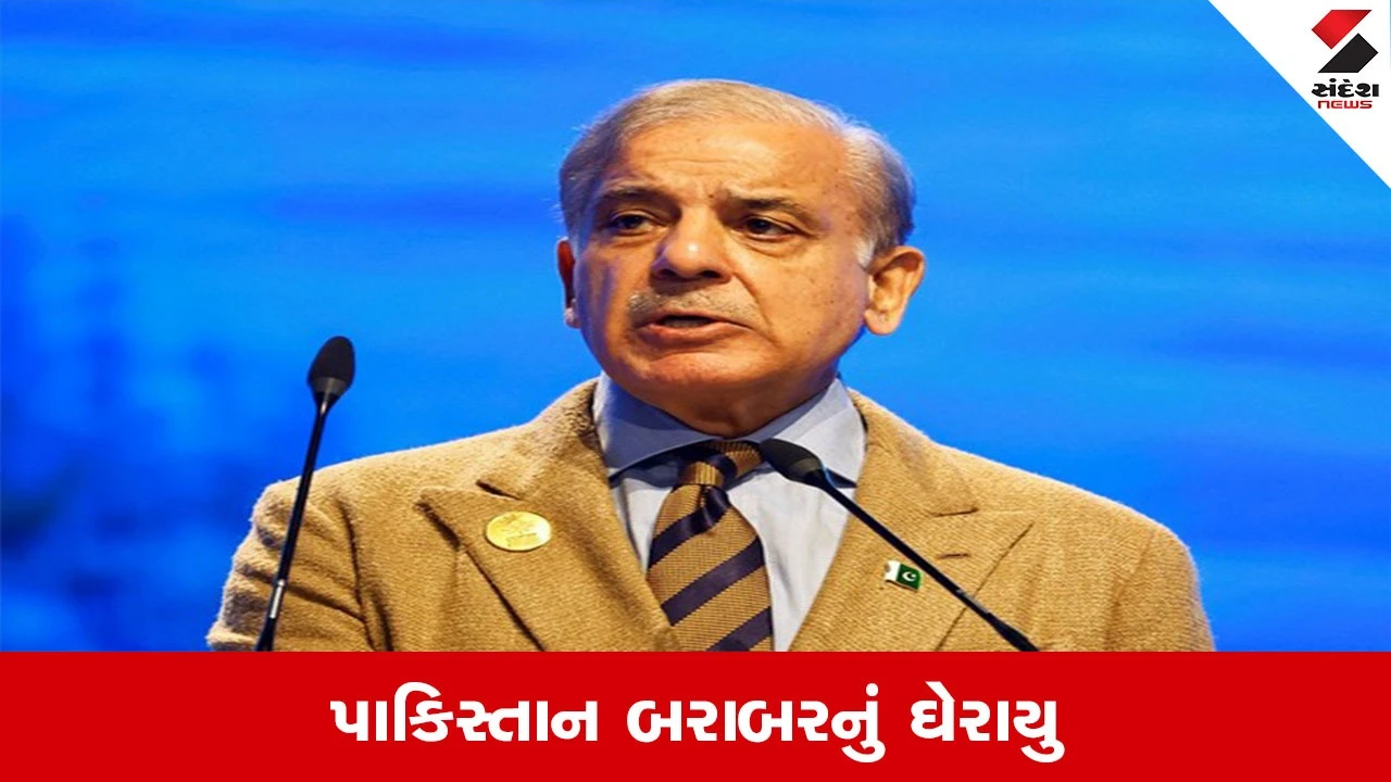 પૂંછમાં પાકિસ્તાની ડ્રોન દેખાયું, ભારતીય સેના ACTIONમાં.