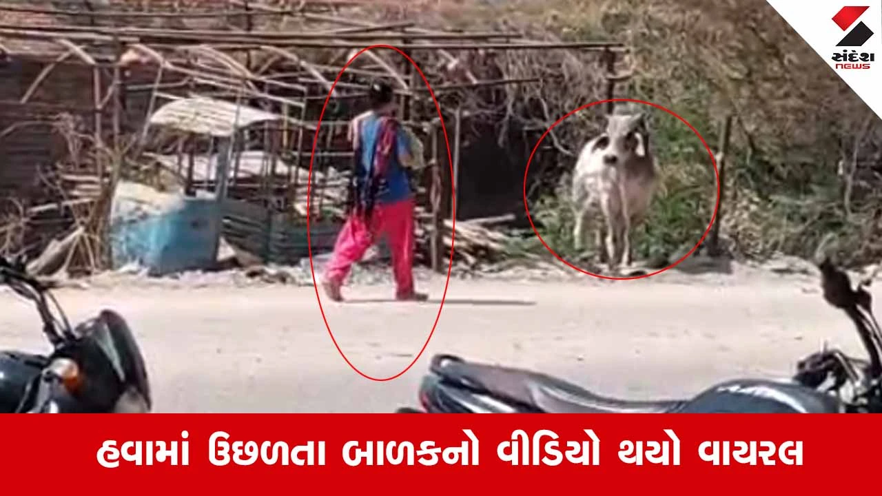Banaskantha News: થરામાં રખડતા આખલાનો આતંક, બાળક અને મહિલા પર જીવલેણ હુમલો