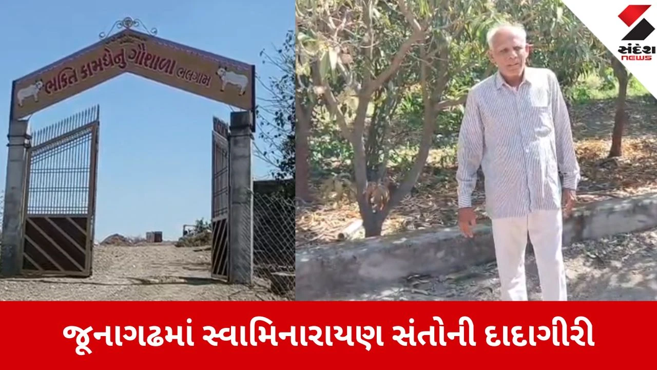 Junagadh: વિસાવદરના ભલગામમાં ગૌશાળાના કબજા મામલે સ્વામિનારાયણ સંતોએ વૃદ્ધને ફટકાર્યો 