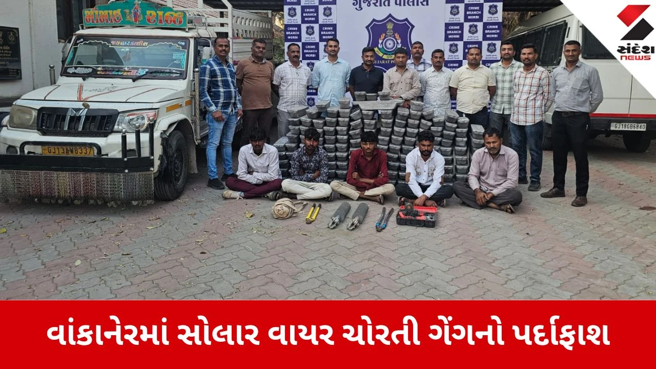 વાંકાનેરમાં સોલાર વાયર ચોરી કરતી ગેંગના 5 તસ્કરો LCB દ્વારા પકડાયા, ₹14.13 લાખનો મુદ્દામાલ જપ્ત.