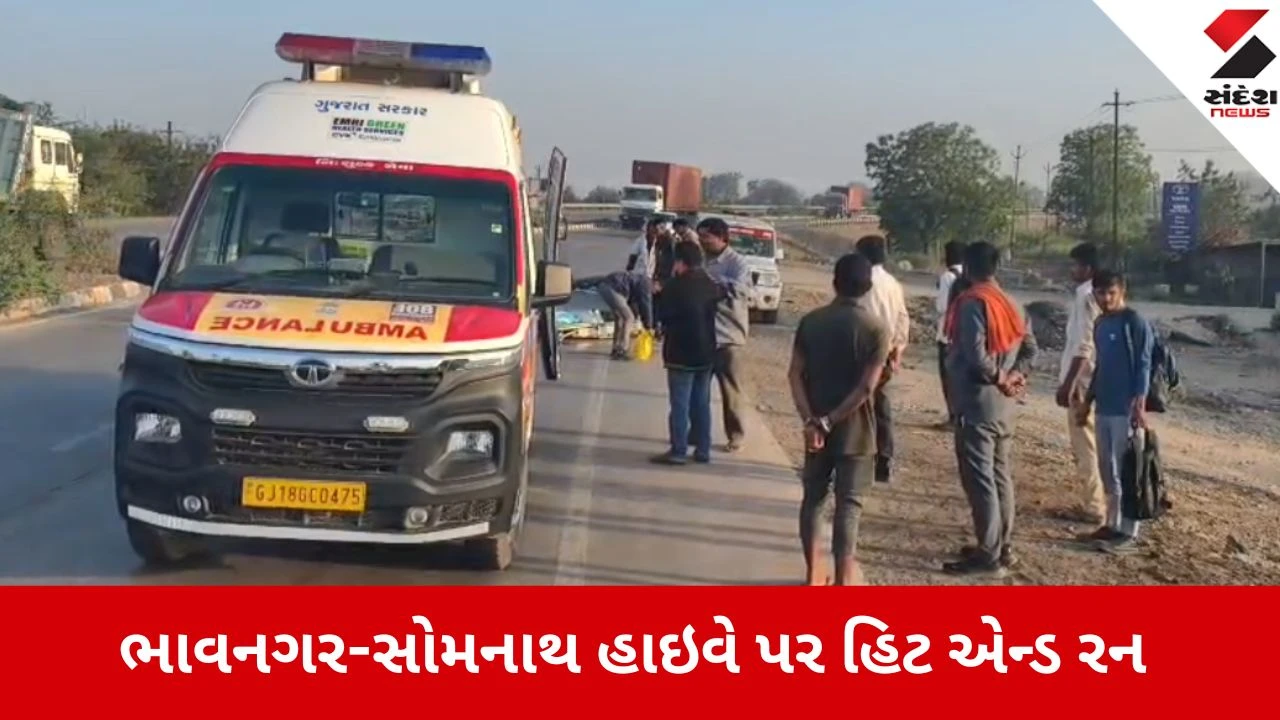 અમરેલી: રાજુલા નજીક ભાવનગર-સોમનાથ હાઇવે પર Hit & Run માં અજાણ્યા વાહને યુવાનને કચડ્યો.