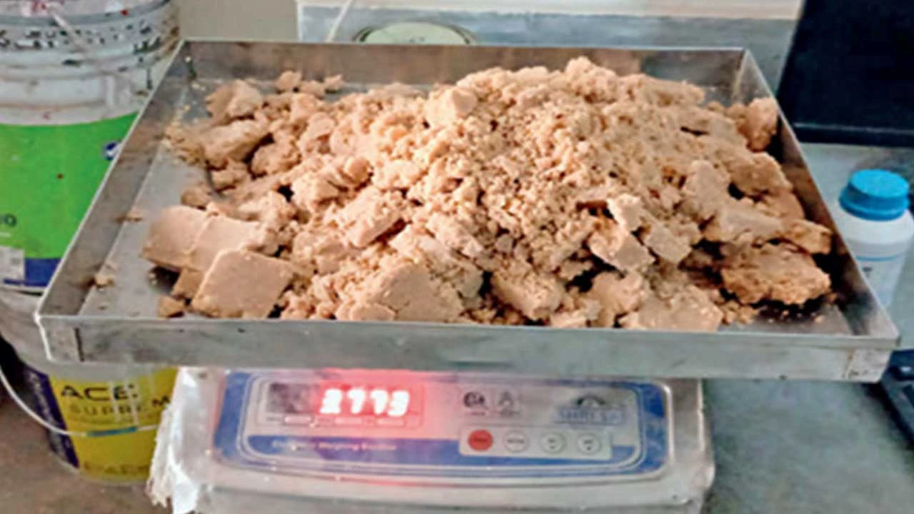 થાનગઢ: શાળાના મધ્યાહન ભોજન કેન્દ્રમાં ગેરરીતિ, સંચાલક અને રસોઈયા ગેરહાજર જણાતા કાર્યવાહી કરવામાં આવી.