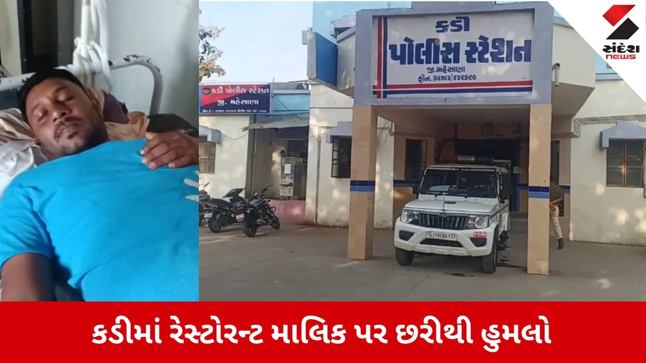 Mahesana News: કડીમાં રેસ્ટોરન્ટ માલિક પર જીવલેણ હુમલો, ગલ્લામાંથી રોકડ લૂંટી 4 શખ્સો ફરાર 