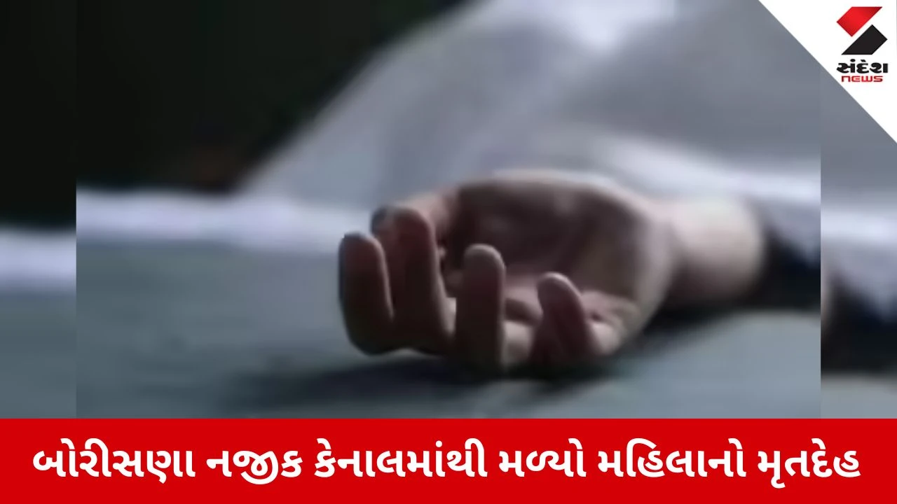 Mahesana News: કડીના બોરીસણા નજીક કેનાલમાંથી મળ્યો મહિલાનો મૃતદેહ 