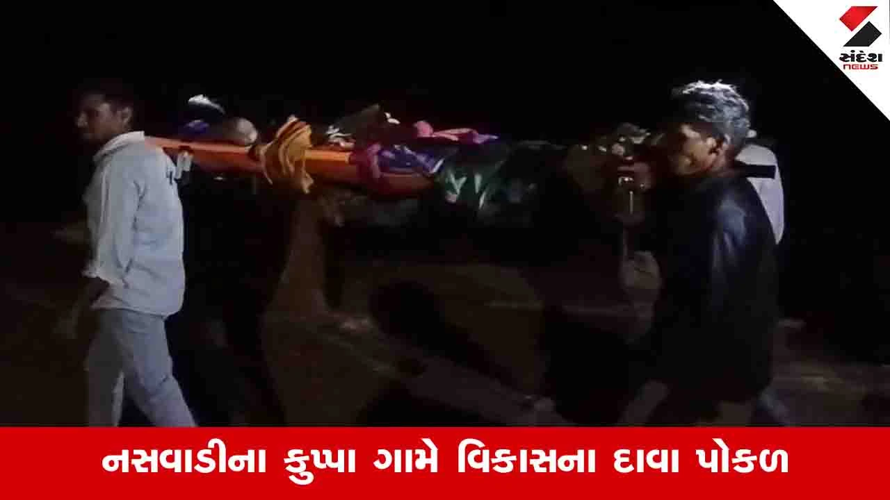 AI યુગમાં પણ રસ્તા વગર સગર્ભાની કાચા રસ્તે પ્રસુતિ