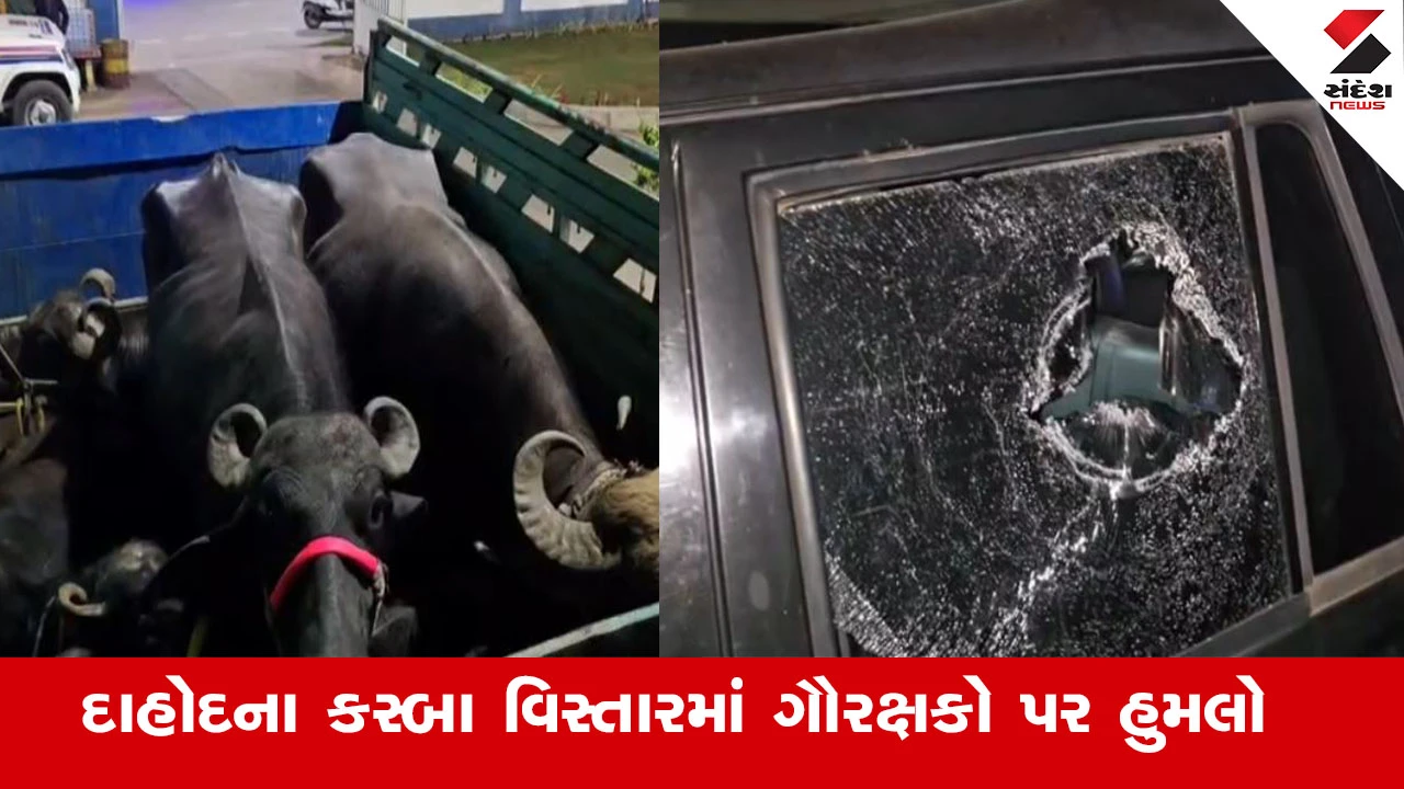 દાહોદમાં ગૌ રક્ષકો પર હુમલો: હિંસક ટોળાનો પથ્થરમારો, વાહનોના કાચ તોડ્યા, અફરાતફરી મચી.