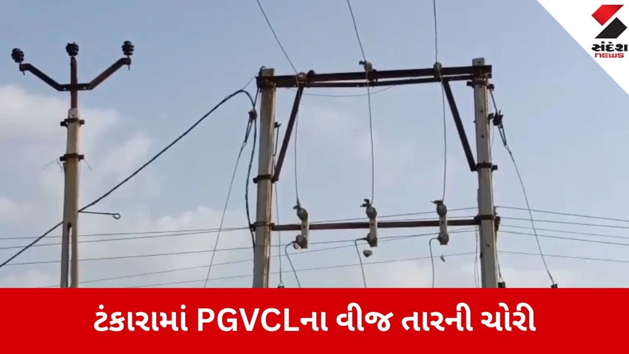 મોરબી: ટંકારાના સાવડીમાં તસ્કરો દ્વારા 16 વીજપોલ પરથી 1800 મીટર તારની ચોરી, PGVCLને લાખોનું નુકસાન.