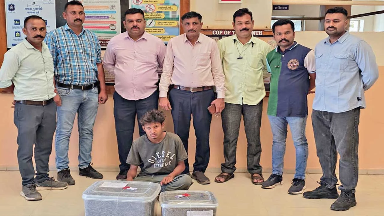 Himatnagar: સાબરકાંઠાનું વડુ મથક હિંમતનગર બન્યું ગાંજાનું હબ 