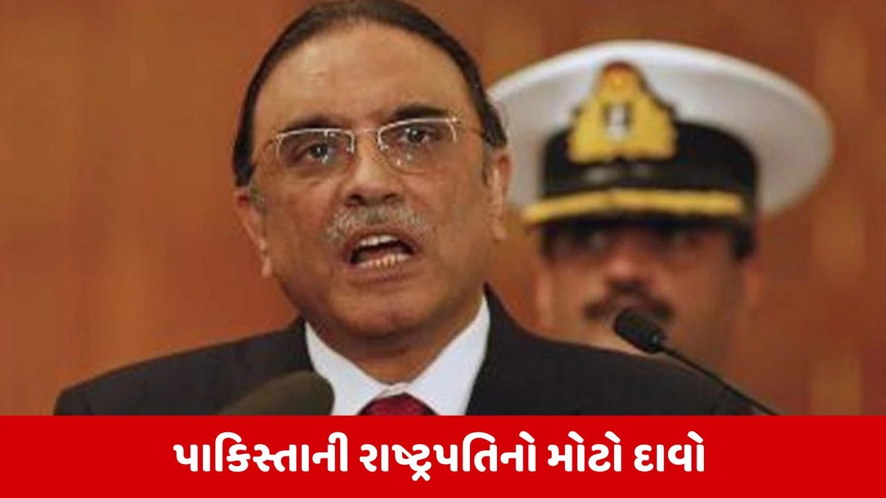 Pakistanના રાષ્ટ્રપતિ આસિફ અલી જરદારીનો મોટો દાવો, કહ્યું 'ભારત વધુ એક યુદ્ધની તૈયારીમાં' 