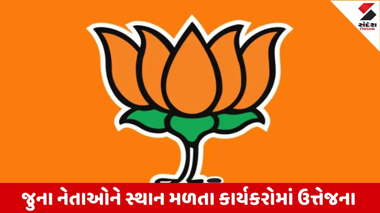 Gandhinagar : પ્રદેશ ભાજપે મોરચા પ્રભારીઓના નામની કરી જાહેરાત, ઘણા જૂના નેતાઓને પ્રભારી બનાવવામાં આવ્યા 