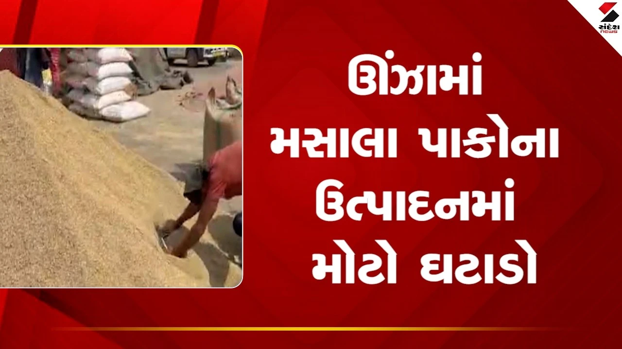 Agriculture News: ઊંઝામાં આ વખતે મસાલા પાકોના ઉત્પાદનમાં ઘટાડો નોંધાયો 