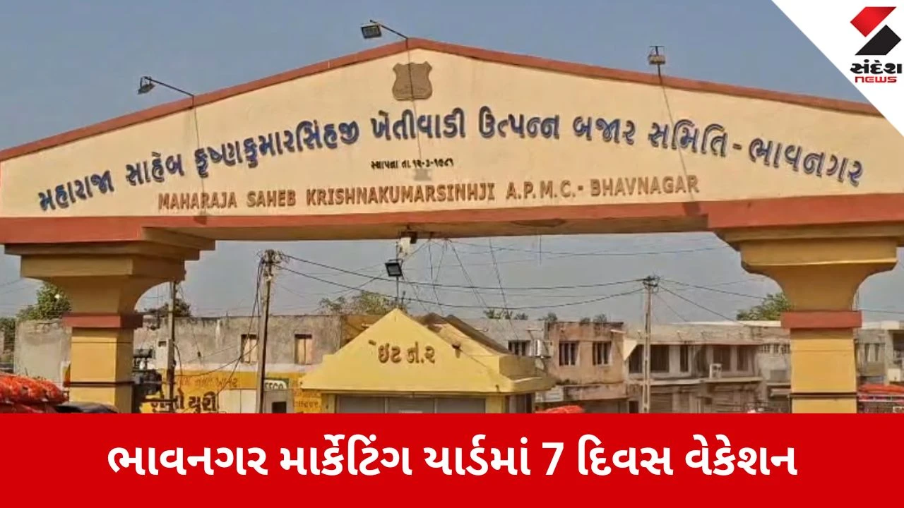 Bhavnagar APMCમાં હોળી-ધૂળેટીના તહેવારોને કારણે 7 દિવસનું મિની વેકેશન જાહેર, હરાજી બંધ રહેશે.",