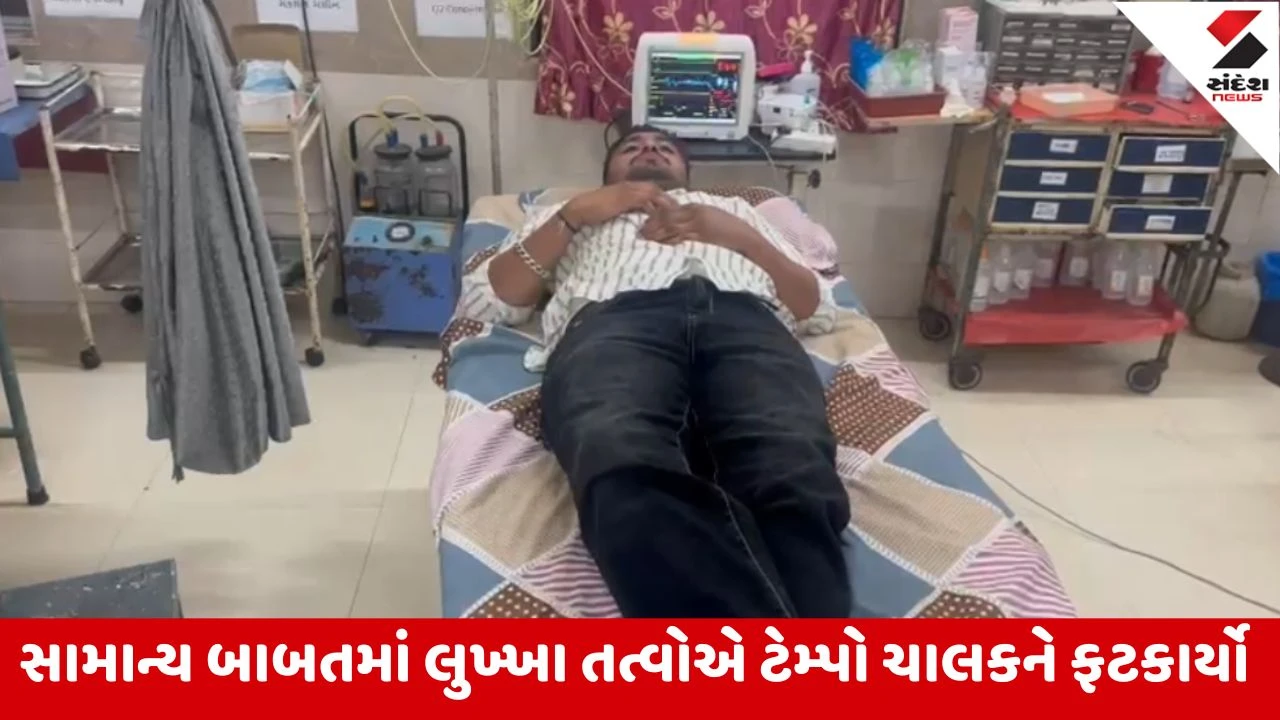 Navsari : ચીખલીમાં લુખ્ખા તત્વોનો આતંક, ટેમ્પો ચાલકને પાછળથી હોર્ન મારી હેરાન કર્યા બાદ માર મરાયો