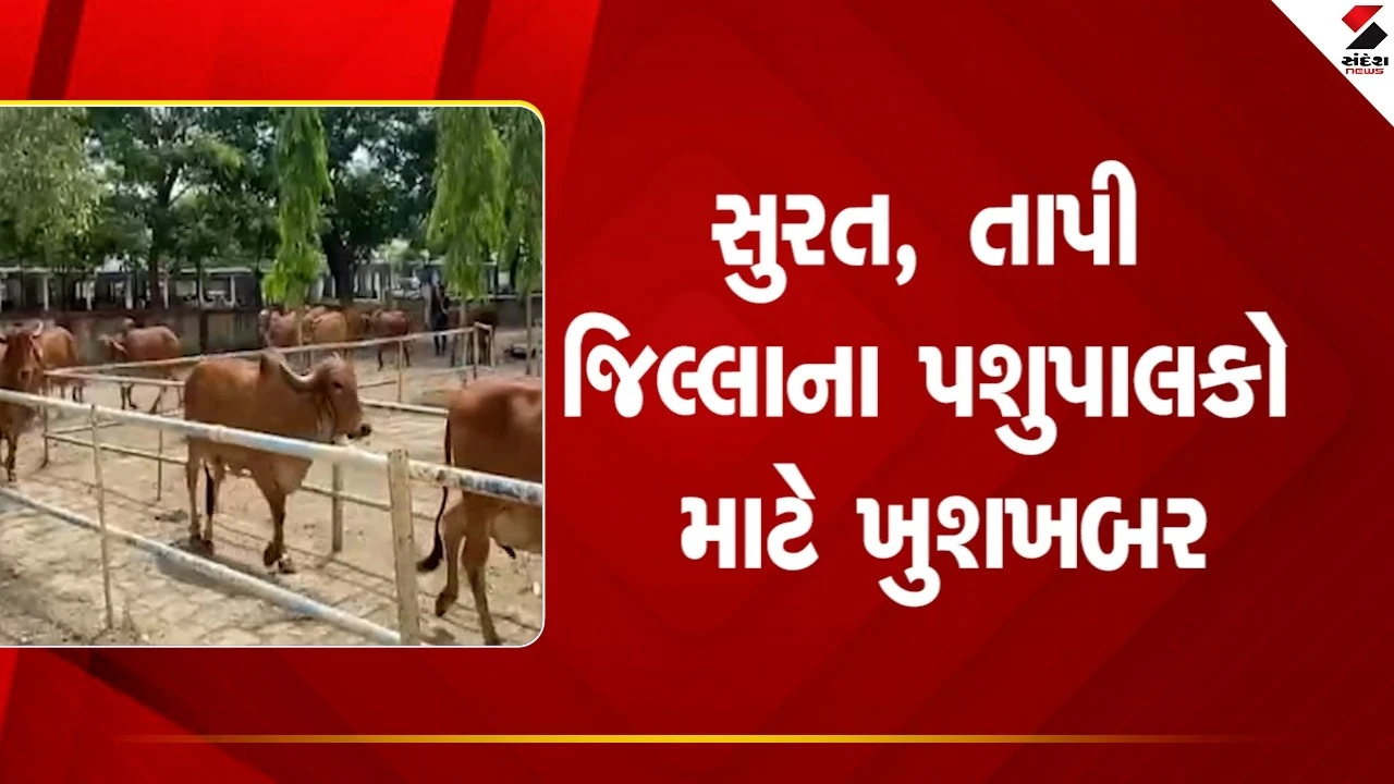 Surat News: સુમુલ ડેરીએ દૂધના ભાવમાં કિલો ફેટે વધારો કર્યો, જાણો ગાય અને ભેંસના દૂધમાં કેટલો વધારો મળશે 