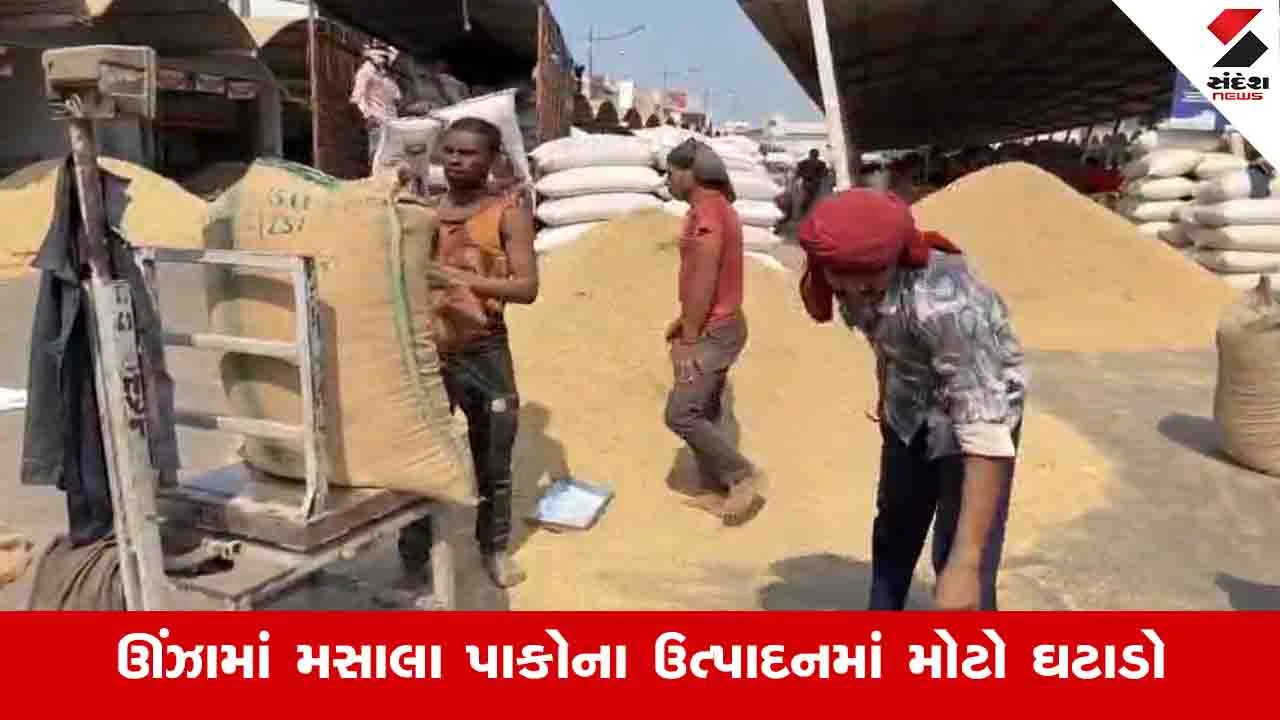મહેસાણાના ઊંઝામાં મસાલા પાકોના ઉત્પાદનમાં ઘટાડો: Agriculture News.