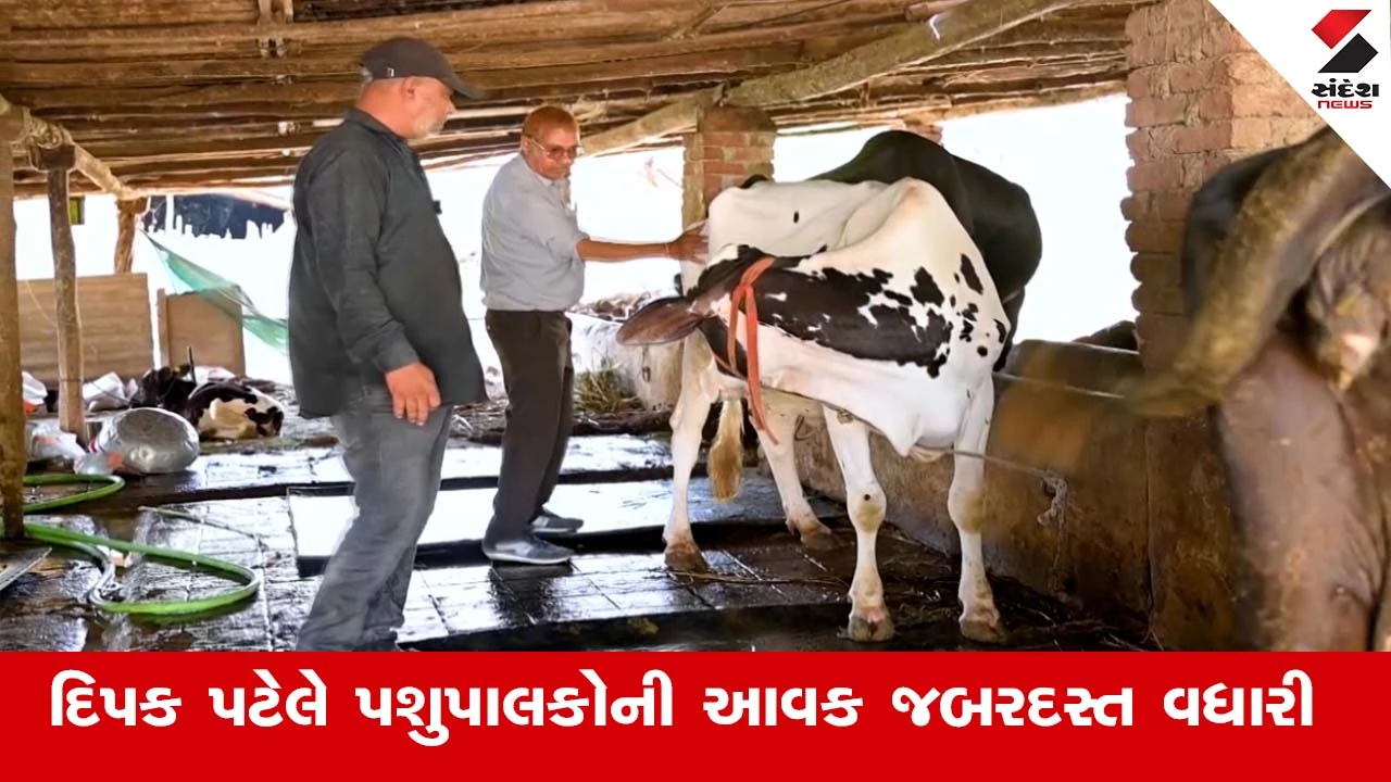 કૃષિ સમાચાર: પાંચ ચોપડી પાસ દિપક પટેલે પશુપાલકોની આવક વધારી!.