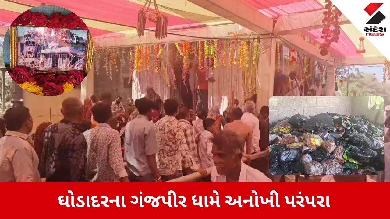Porbandar News: ઘોડાદરના ગંજપીર ધામે 5000 કિલો ખજૂરનો પ્રસાદ ચડાવાયો, એકતા અને આસ્થાનો અનોખો સંગમ