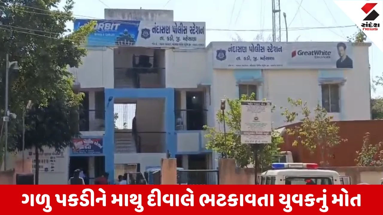 Mehsana : નંદાસણ પાસે ગુજરાત માઇક્રો કંપનીની કોલોનીમાં યુવકની હત્યા, સિક્યુરિટી ગાર્ડે અટકાવતાં થઇ હતી માથાકૂટ 