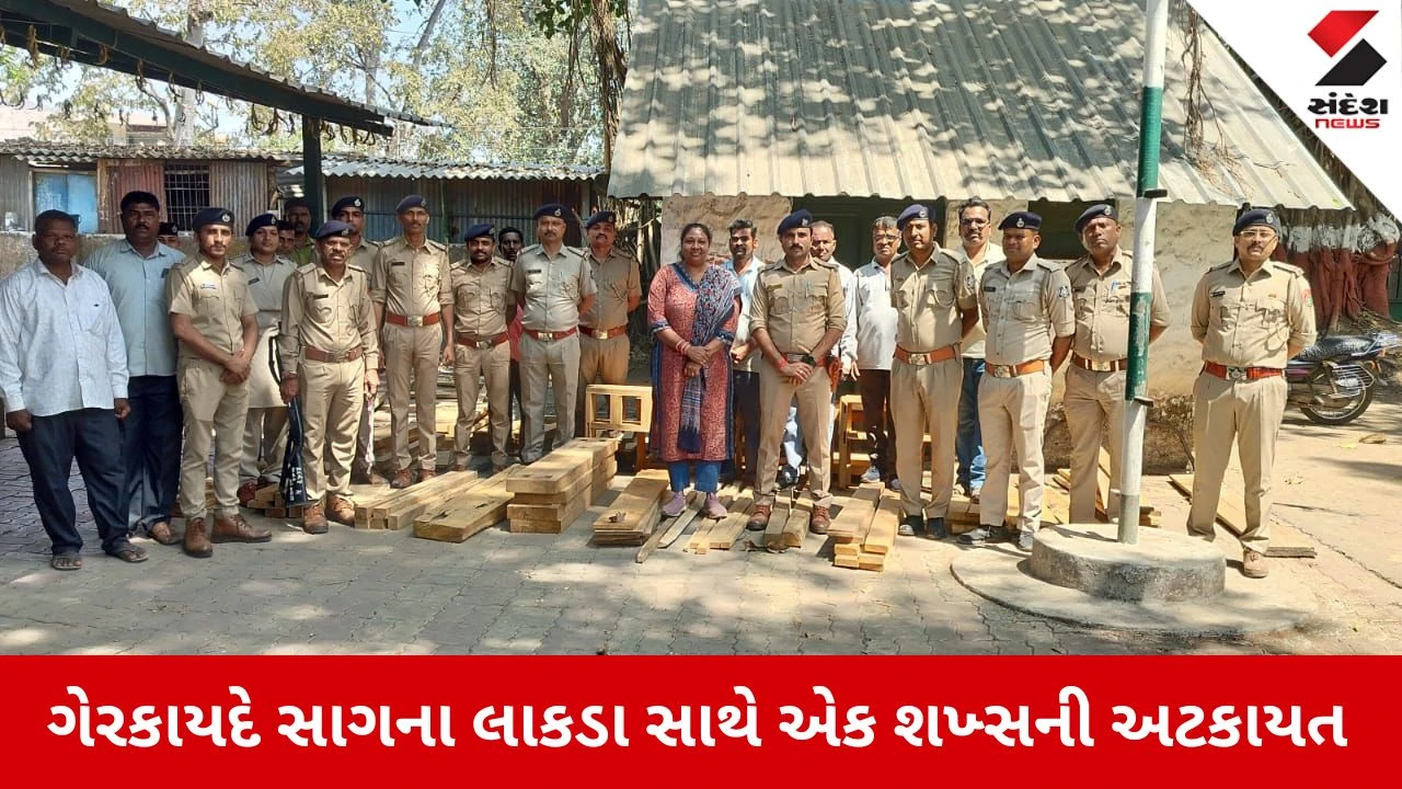 Dang News: વન વિભાગનો સપાટો, 1.65 લાખના ગેરકાયદે સાગના લાકડા સાથે એક શખ્સની અટકાયત કરી