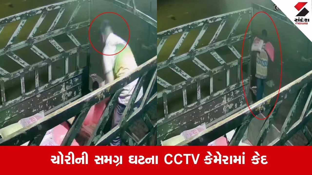 Jamnagar News: ધૂળેટીના દિવસે જ કલરના વેપારીને ત્યાં ખાતર પડ્યું, 100થી વધુ કલરના બાચકાની ચોરી 