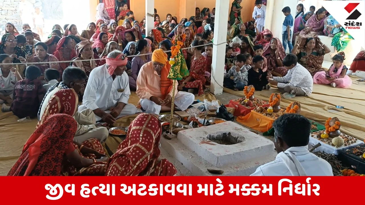 Dwarka : કુરુંગામાં અનુસૂચિત જ્ઞાતિના લોકો દ્વારા ઐતિહાસિક નિર્ણય, વર્ષો જૂની પશુબલિની પરંપરાનો આજે અંત 